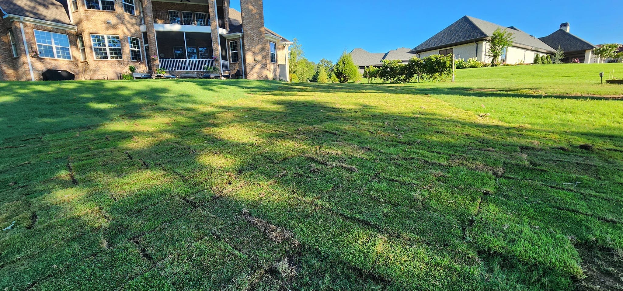 Premium Sod Installation