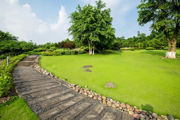 Sod Installation by Taylor's Lawn Care